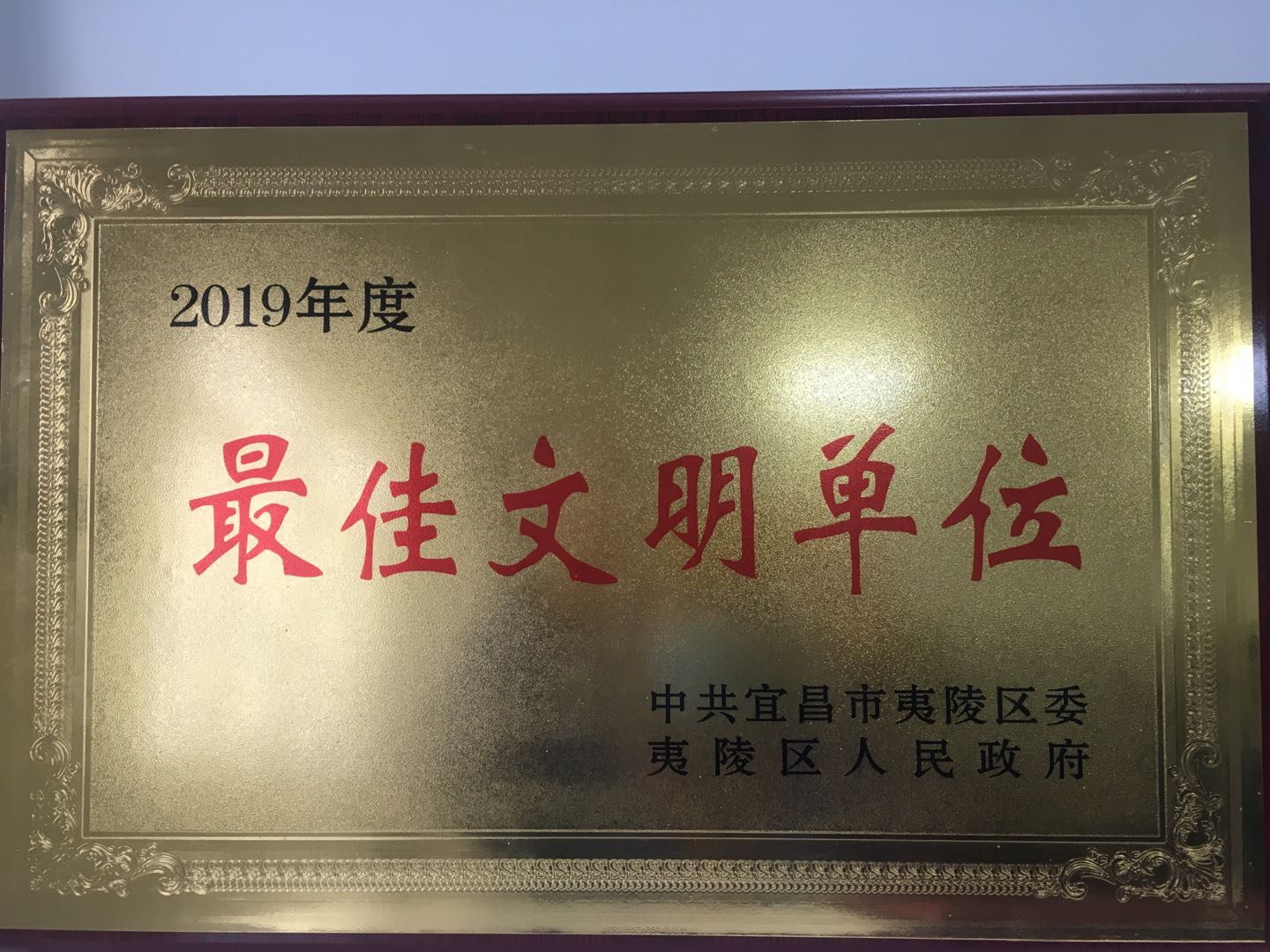 2019年度MG电子最佳文化单元
